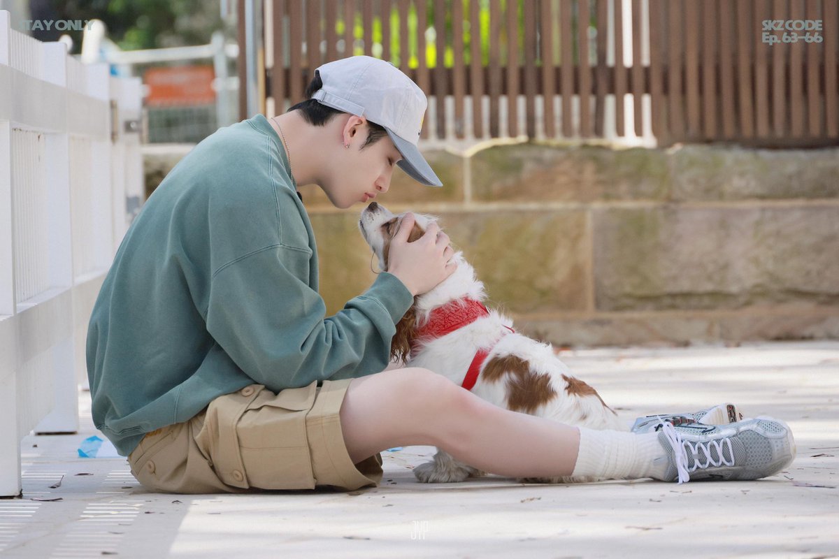 skzgreece_'s tweet photo. Happy Berry Day 🥹♥️🐶

#HappyBerryDay #BangChan https://t.co/TWFeFu76Mi