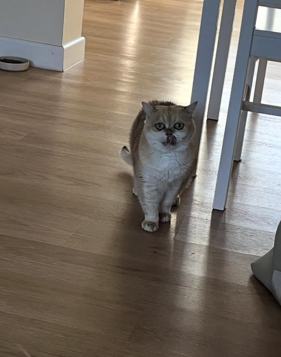 mimybug's tweet image. licke mine knows!