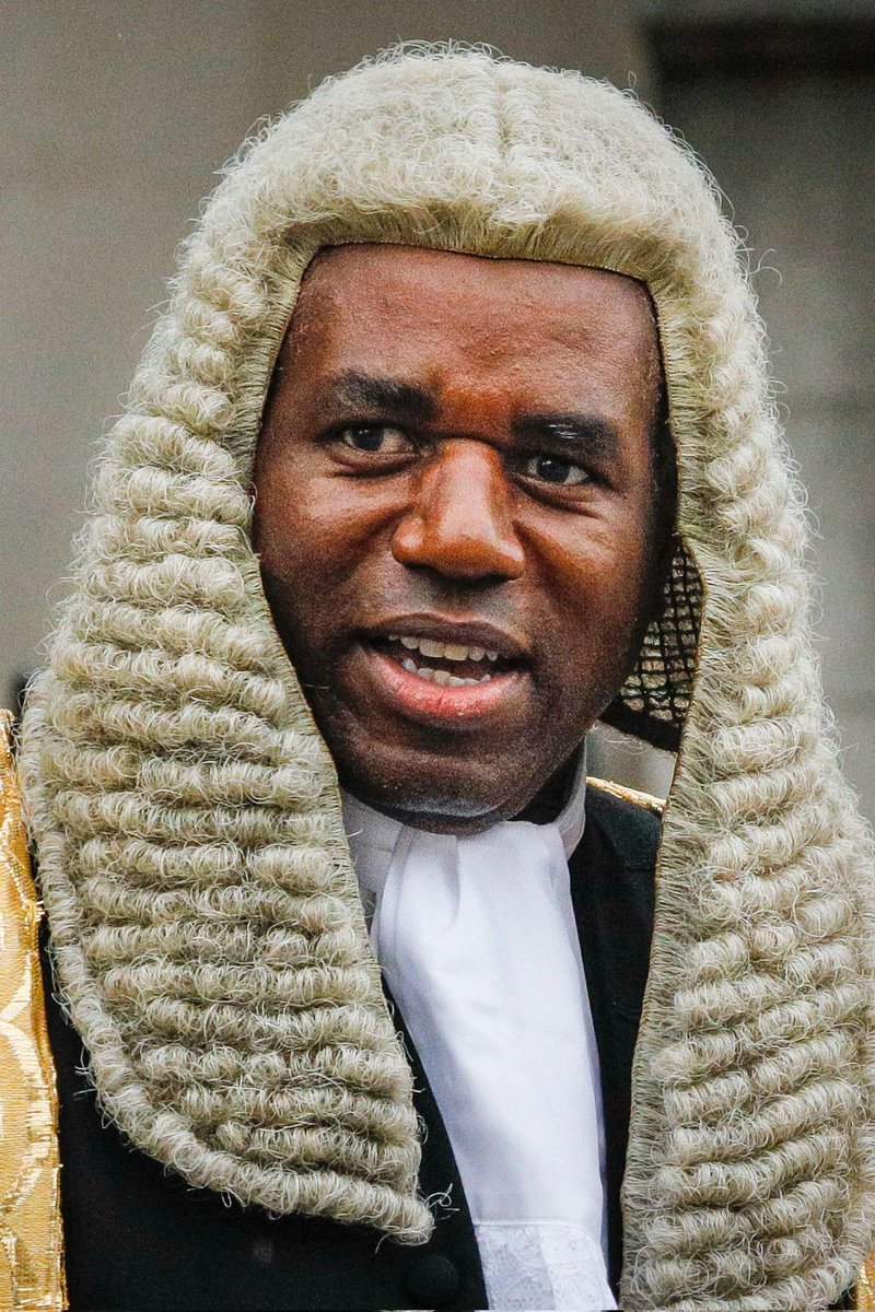 There are moments when a government stops pretending it serves the public and starts acting as if the public is an inconvenience. Today was one of those moments. David Lammy has not "reformed" the justice system. He has amputated half of it. Jury trials have not been modernised,