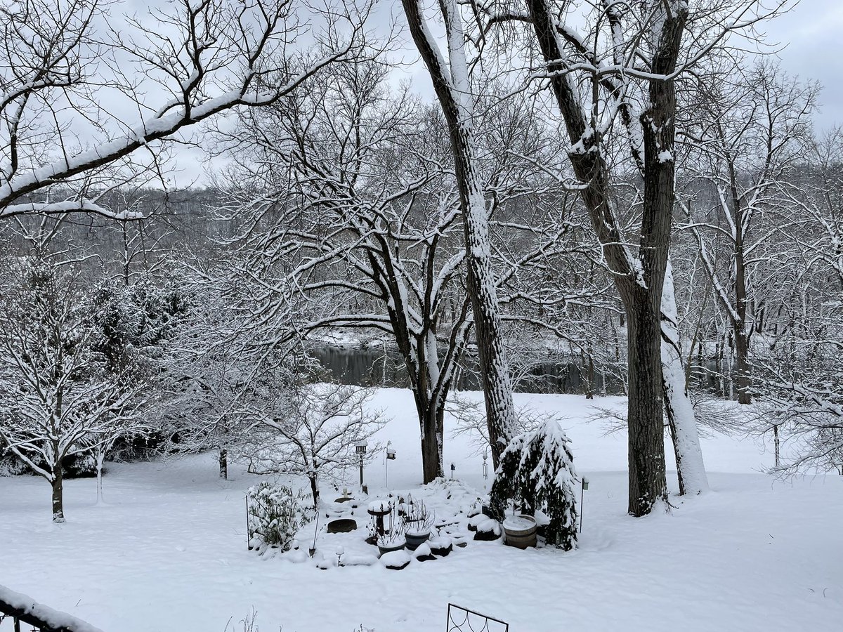 callmelooney😵‍💫 tweet media