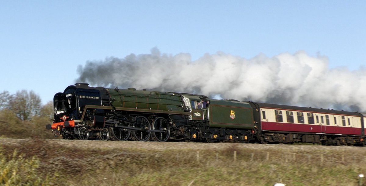 Stephen Tushingham tweet media