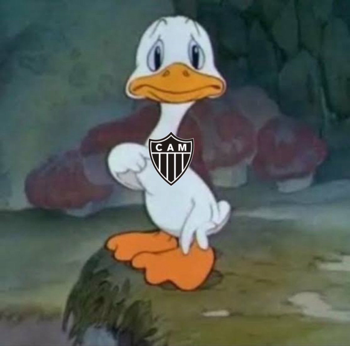DiogoOlouco's tweet photo. kk https://t.co/P26eBsOV1b