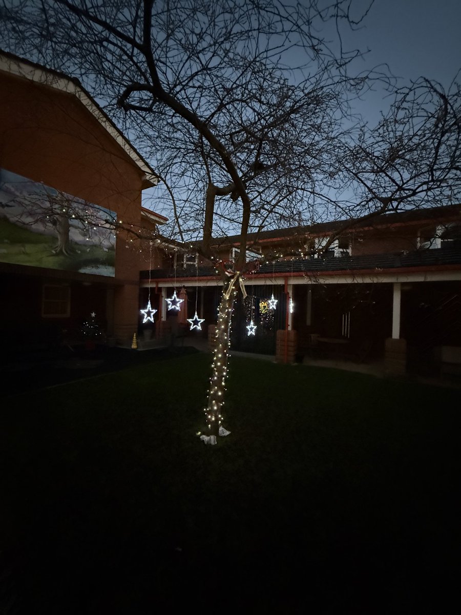AjGidda's tweet photo. Thank you Ward 2 for having us for this special occasion I loved it, 🎄 
This photo is from my favourite spot, the garden looks beautiful, and all the hard work was truly worth it. #Christmas2025 #gardenlights https://t.co/rU6d2ggMmE