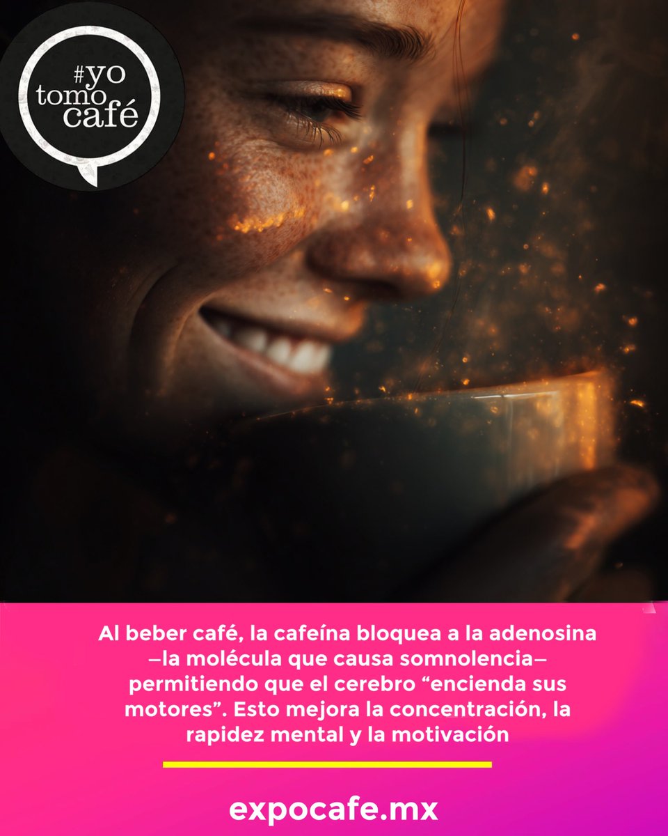 Expo Café tweet media
