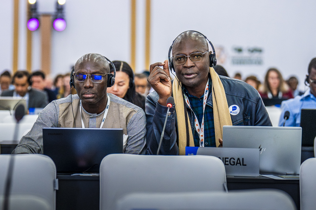 Earth Negotiations Bulletin tweet media