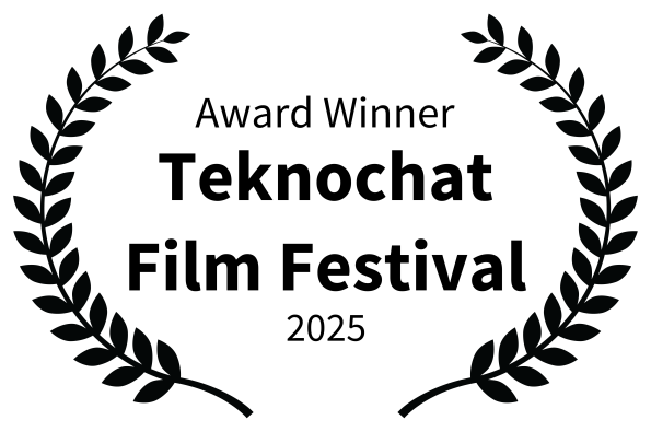 My project «The Flickering Experiment» has been selected as an award winner in Teknochat Film Festival (Barcelona, Spain).