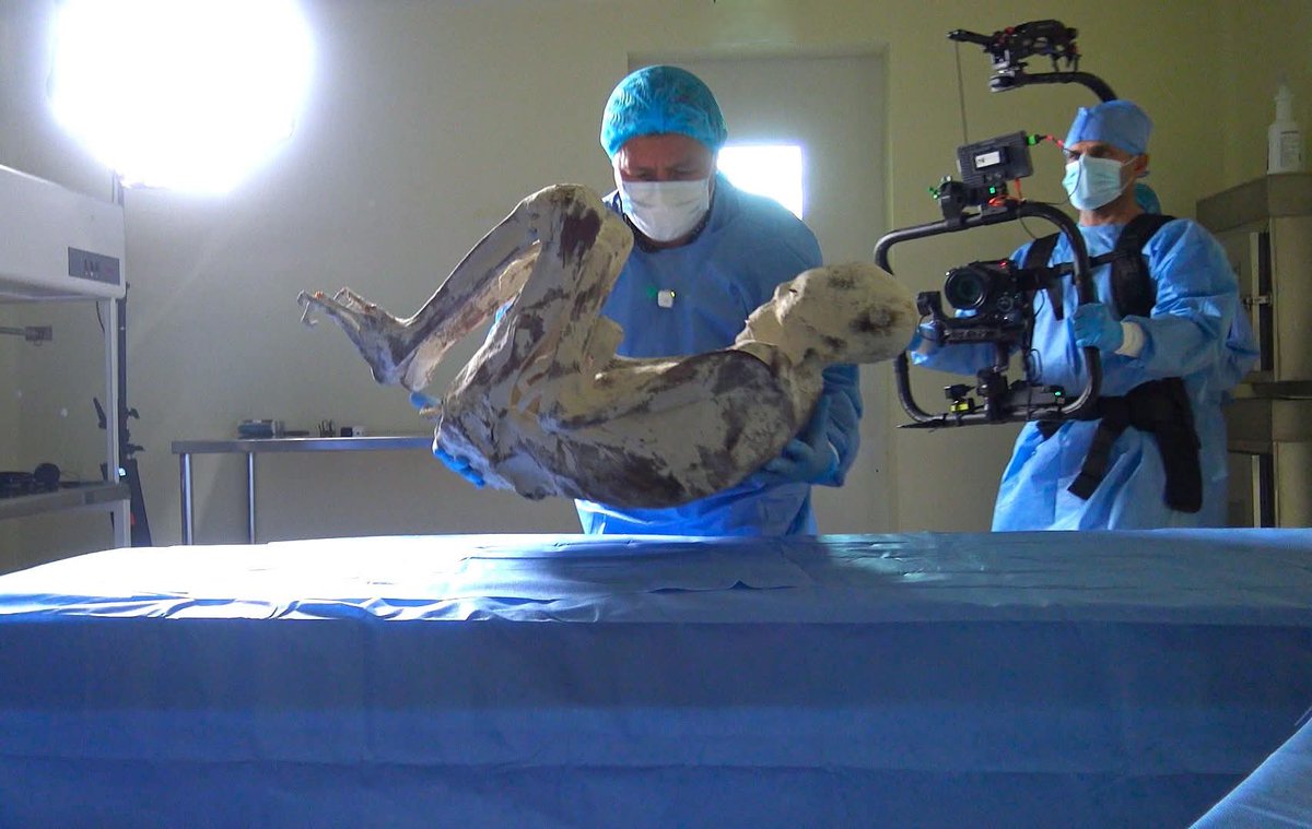 The international investigation into this unknown humanoid species that coexisted with our ancestors continues A prestigious worldclass university is preparing a genetic study using the access I granted them to the information. There will be a big surprise very soon Jois Mantilla