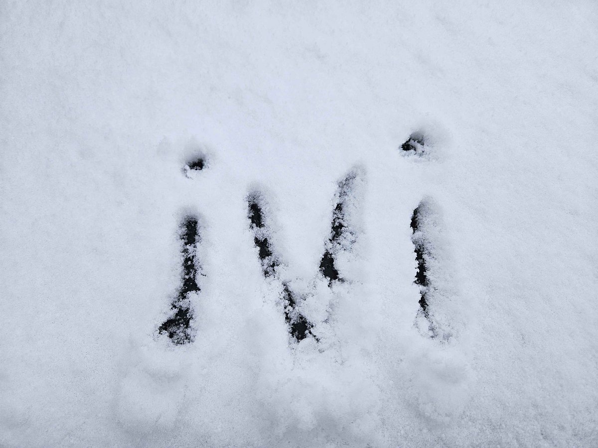 ࣪˖ ❦ tweet media