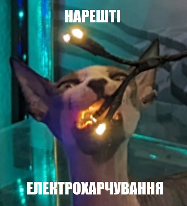 🇺🇦 днесія (@dar_haiyo) on Twitter photo 