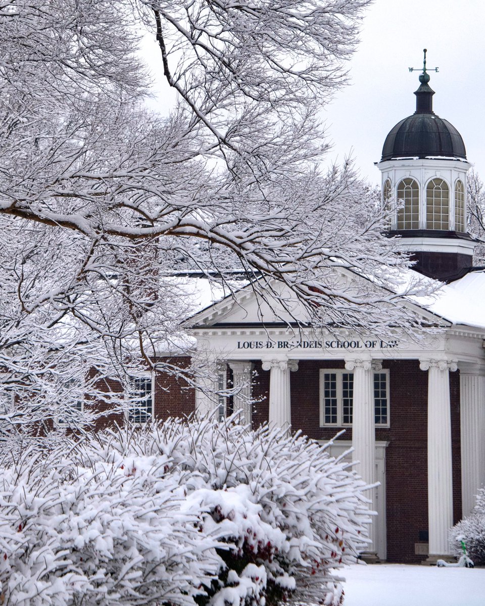 University of Louisville tweet media