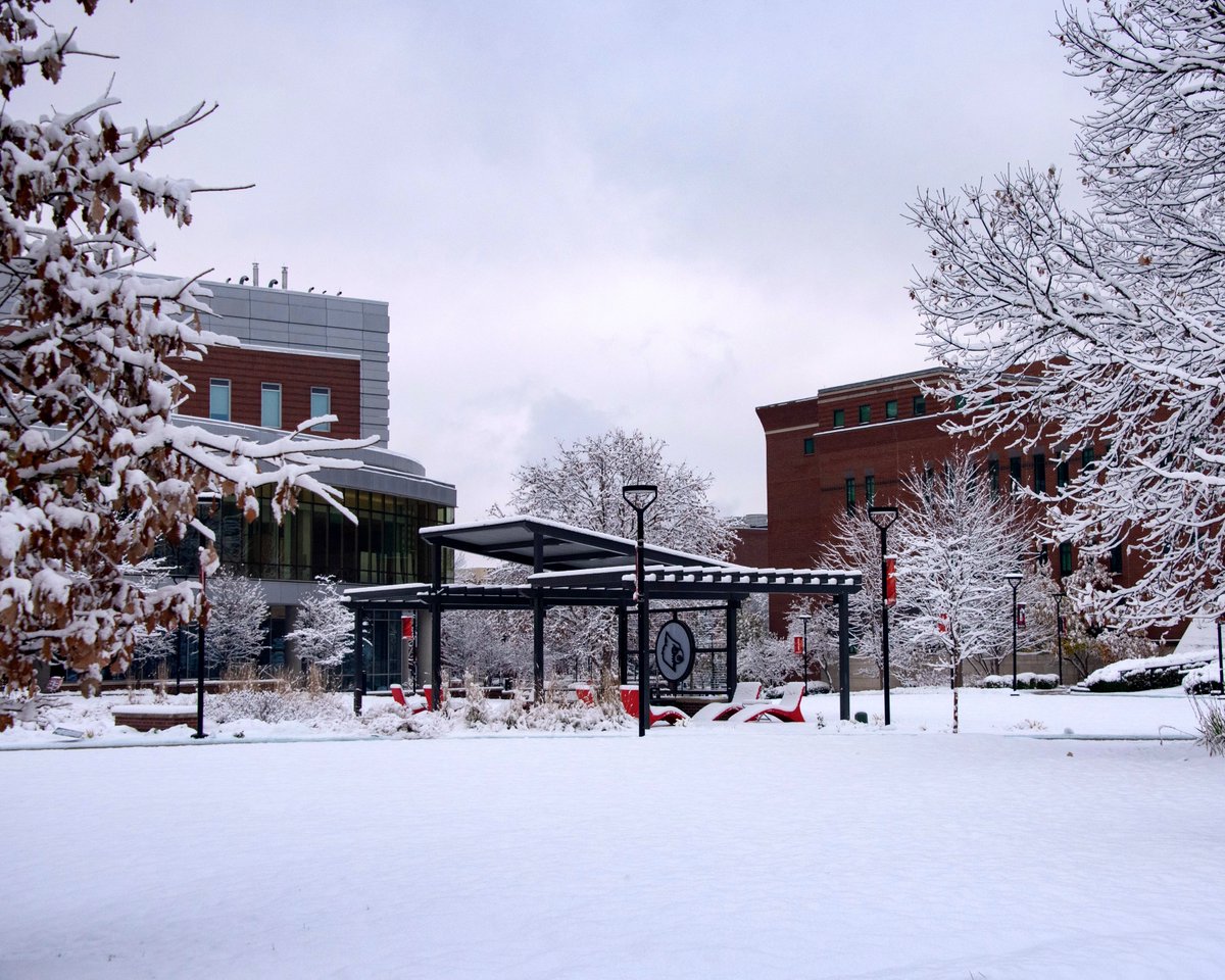 University of Louisville tweet media