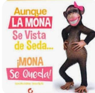 JUBILADOPATRIO1's tweet image. 🤣