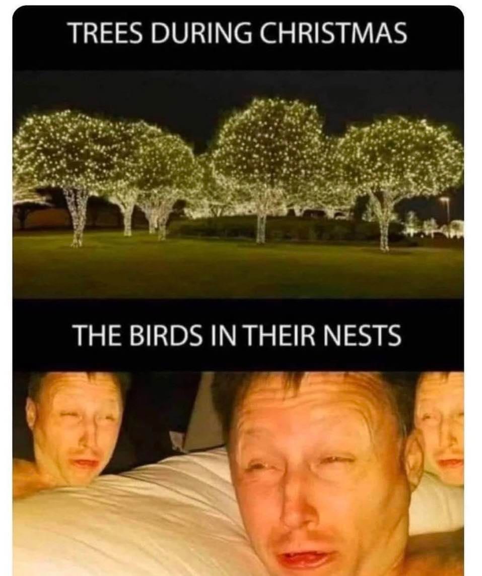 HelpATeacher's tweet image. Accurate.