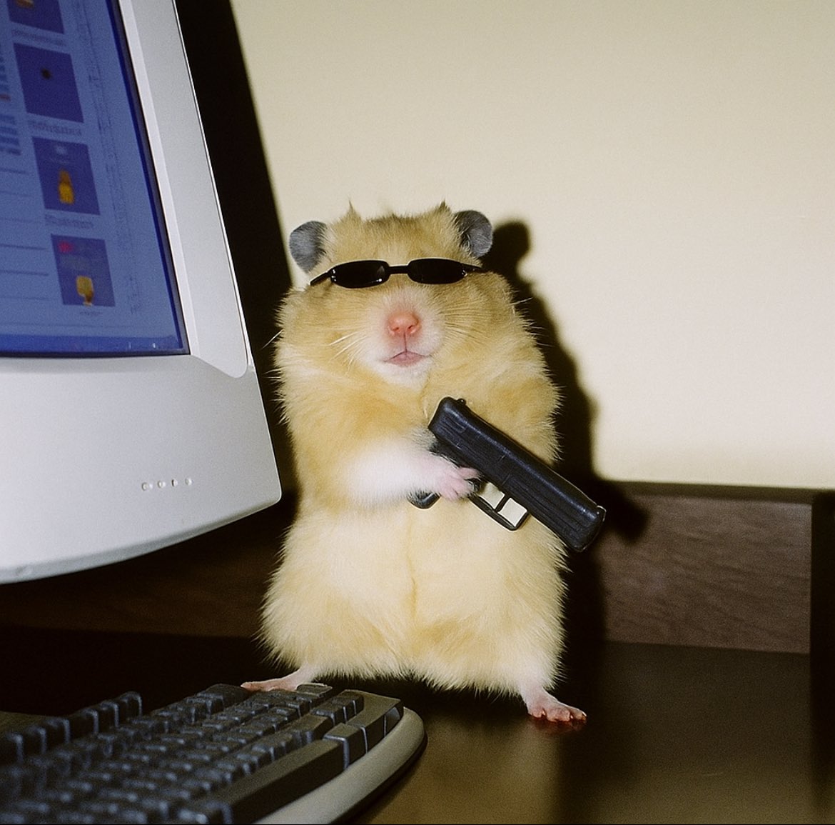 hard everything (@hrdevrythng) on Twitter photo 