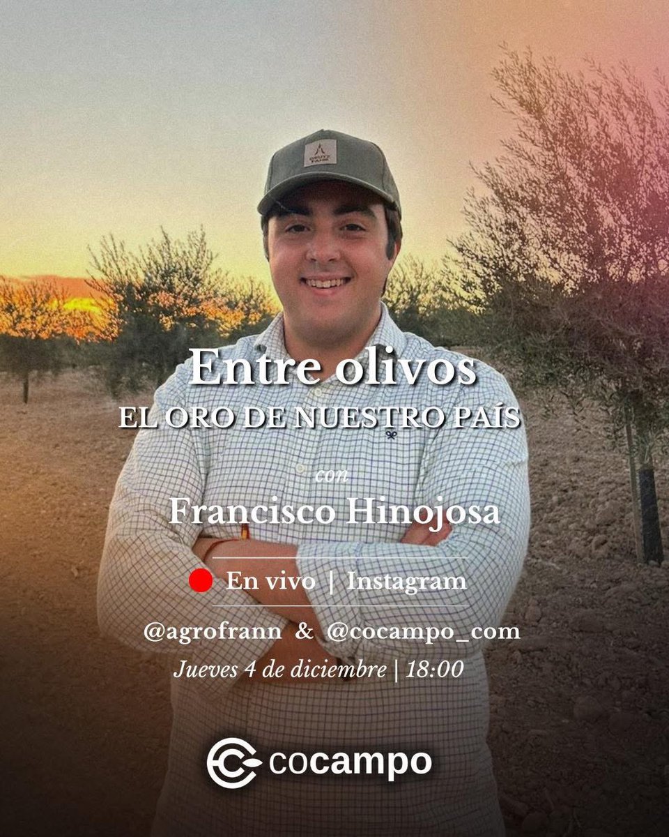 Fran entre olivos tweet media