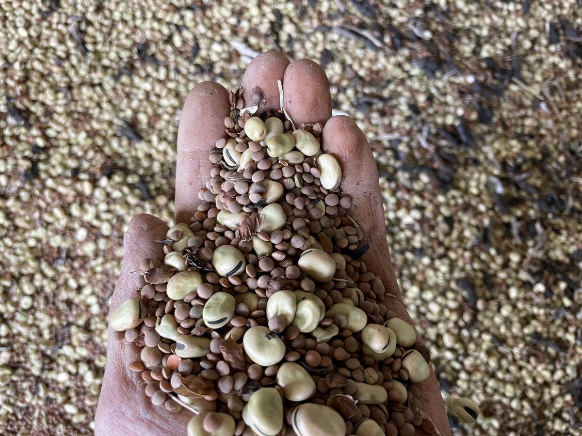 Mark Modra tweet media