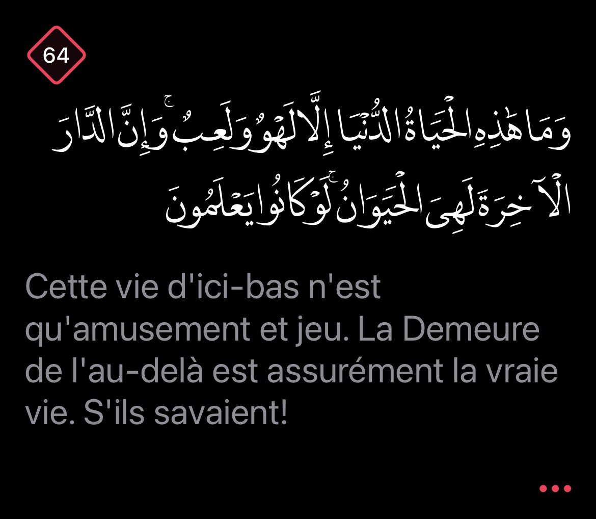 Sirat_Rappel's tweet image. 