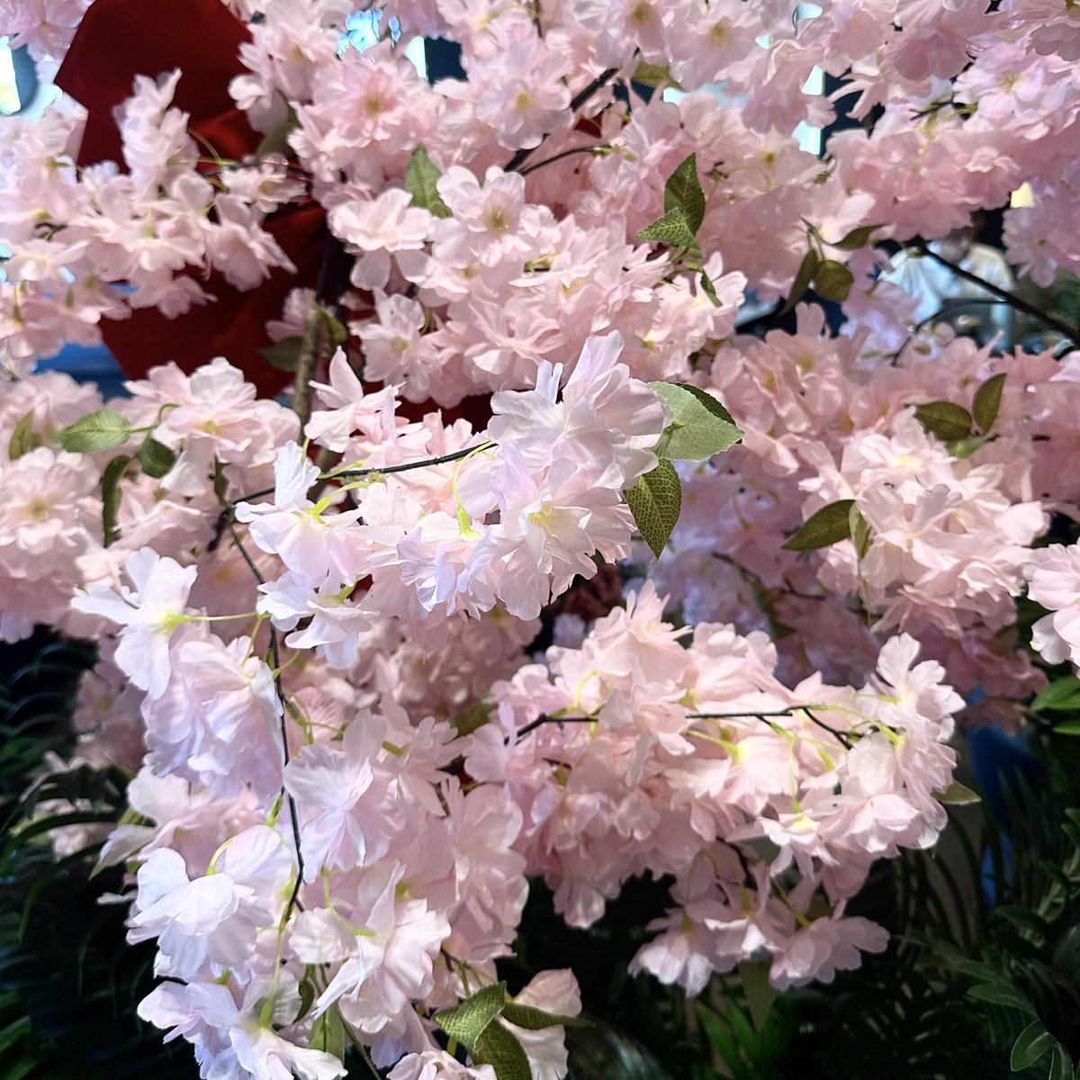 hamsterpupu's tweet image. #hamlife