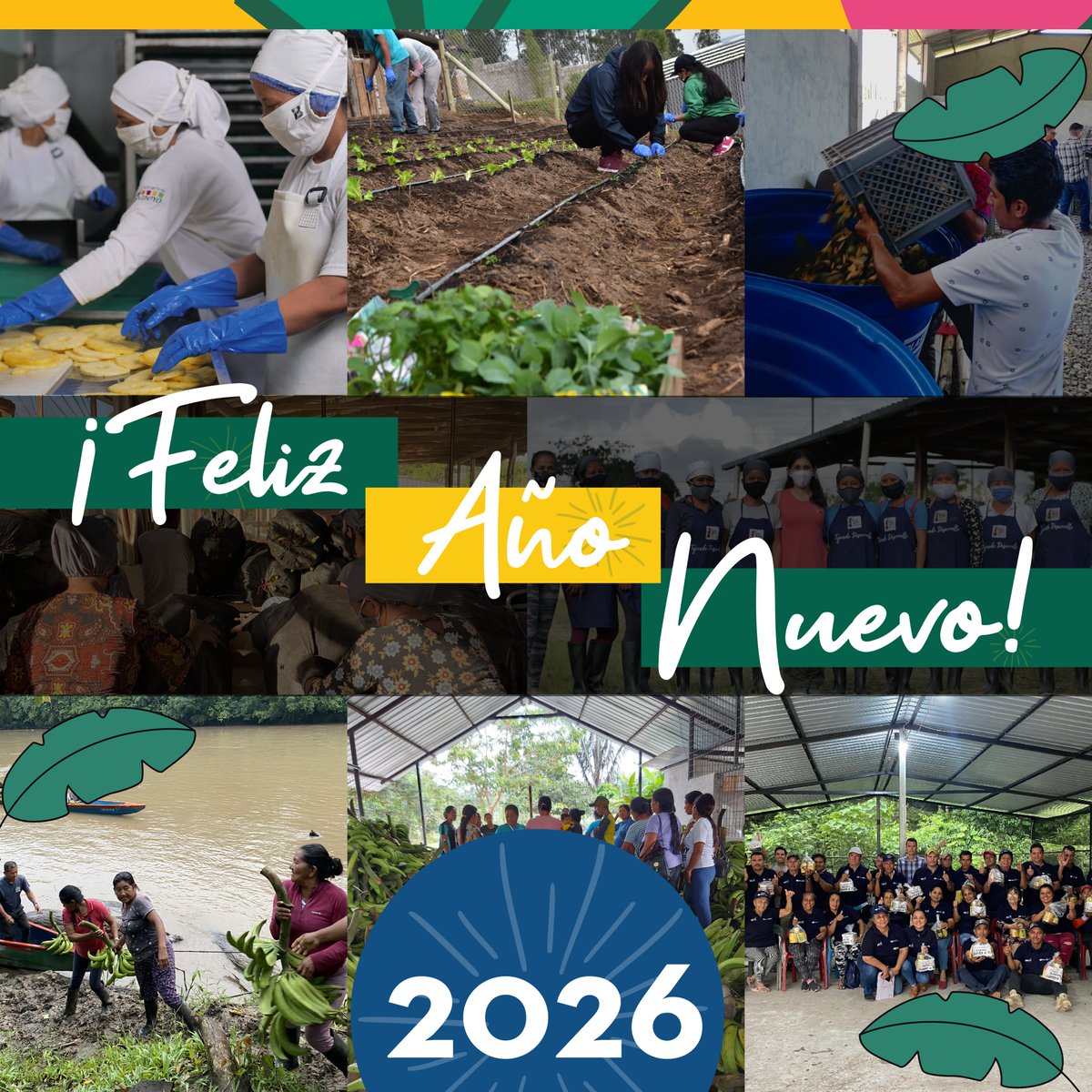 En Agroapoyo creemos que cada nuevo año es una nueva oportunidad para cultivar impacto. 🌱
Gracias por ser parte de esta comunidad que siembra con propósito.
¡Feliz 2026! Que venga con tierra fértil, buenas cosechas y decisiones conscientes.
#FelizAñoNuevo #AgroapoyoSostenible