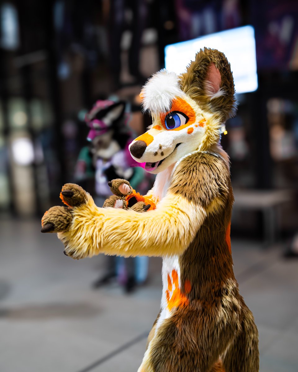 Baddy 🐾 tweet media