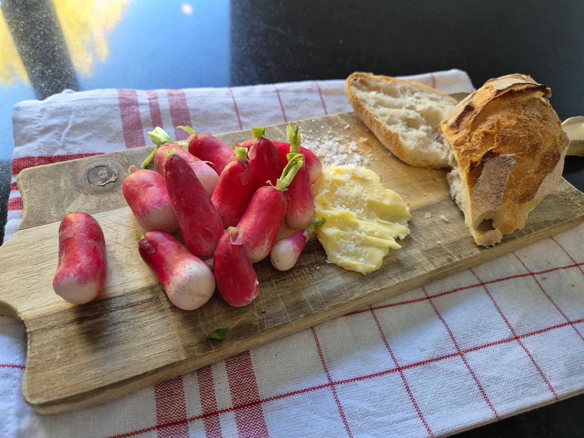 For Haven’s 5th anniversary, we’re going back to the roots (lol) of Daiko’s inspiration: the daikon radish.

Morgan whipped up a seared daikon with chicken and topokki!
and Lauranne is having radish the French way with baguette, and butter. What are you turning Daiko into?
