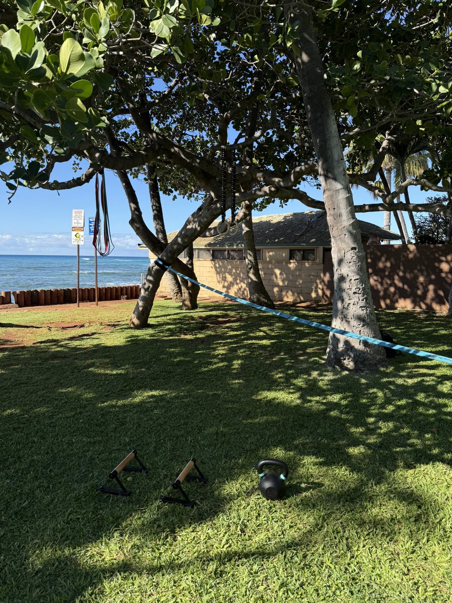 You can just build your own gym in nature.