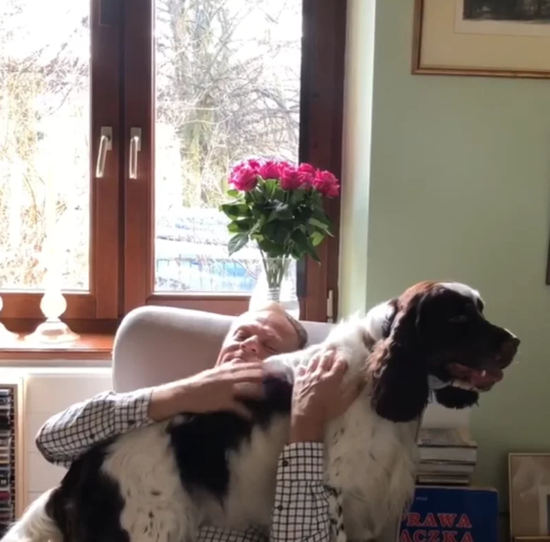 DzikStar tweet media