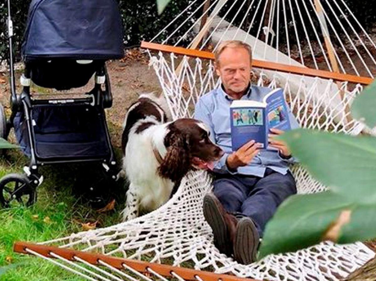 DzikStar tweet media