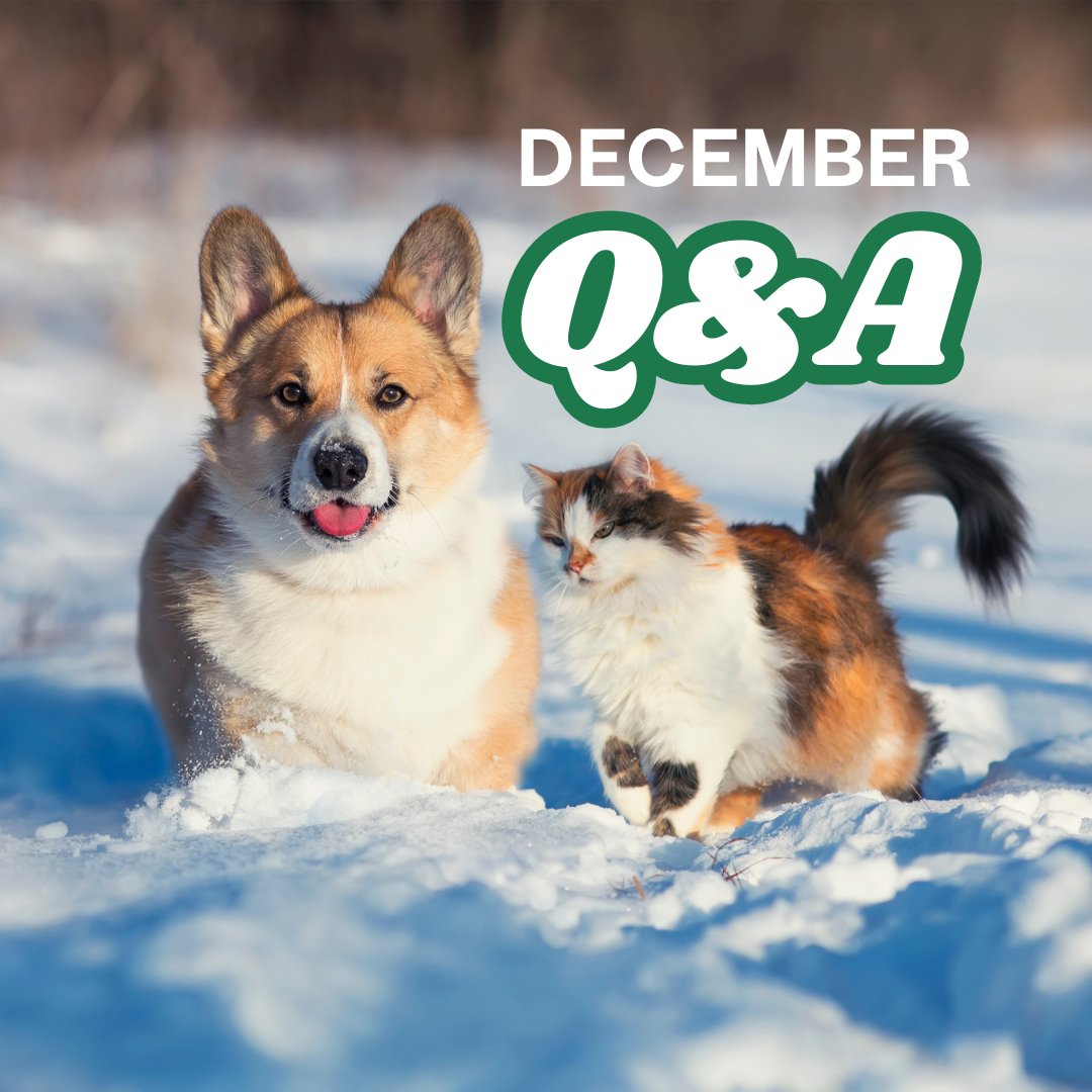 The Chicago Manual of Style tweet media