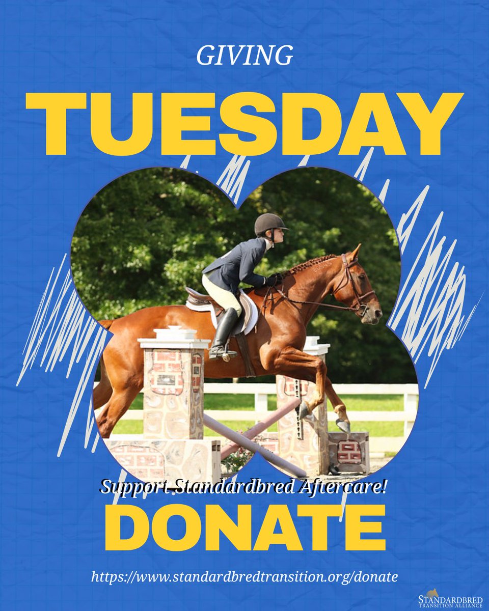 Standardbred Transition Alliance tweet media