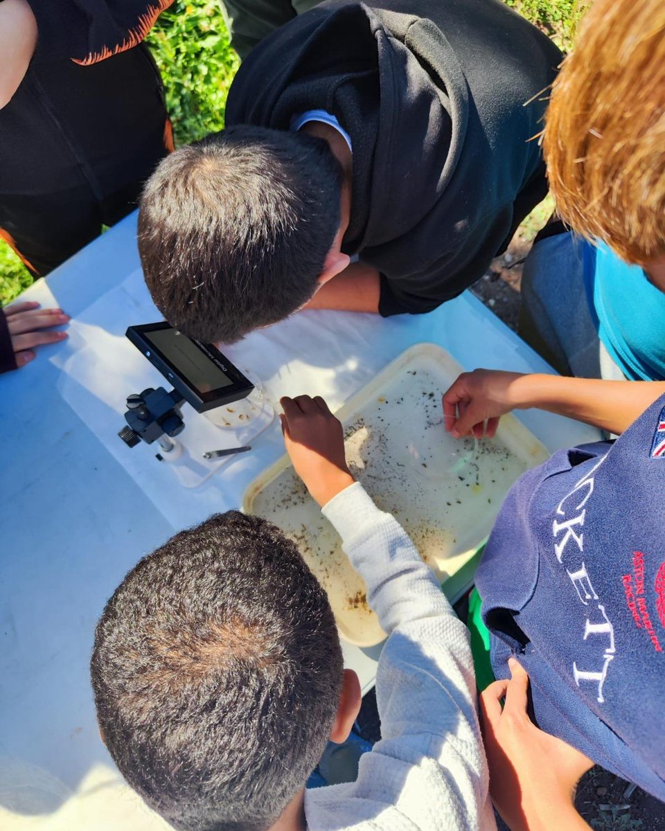 🌿 Este 2025, #StepsforLIFE ha llevado la educación ambiental a 16 centros y 840 estudiantes con charlas gamificadas, rutas interpretativas y voluntariado.
140 kg de invasoras retiradas y 5.000 plantas de dunas restauradas.
Territorio, ciencia y juventud 💚