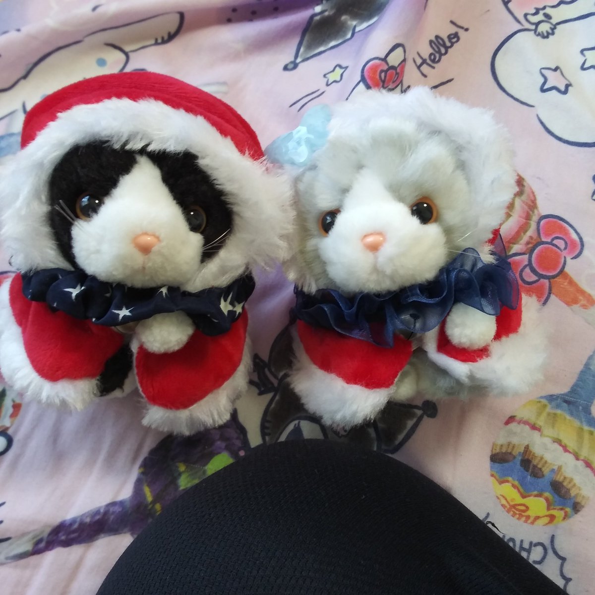 KA07508460's tweet photo. #新しいプロフィール画像 https://t.co/XiNoFJxkEz