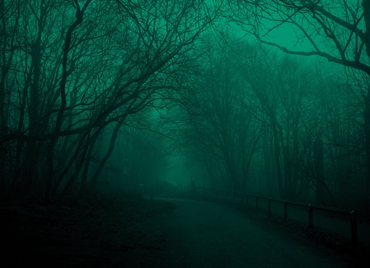 zosphotos's tweet image. Haunting greens