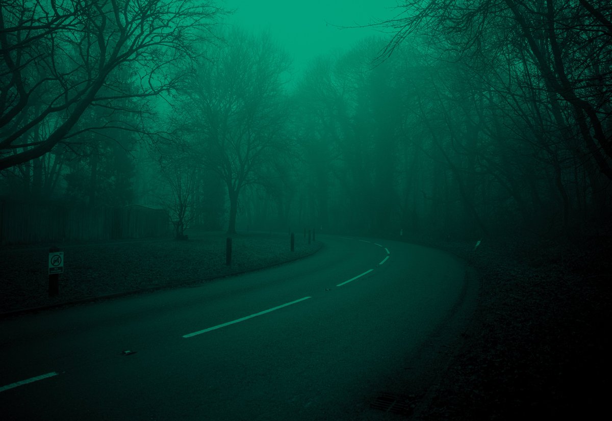 zosphotos's tweet image. Haunting greens