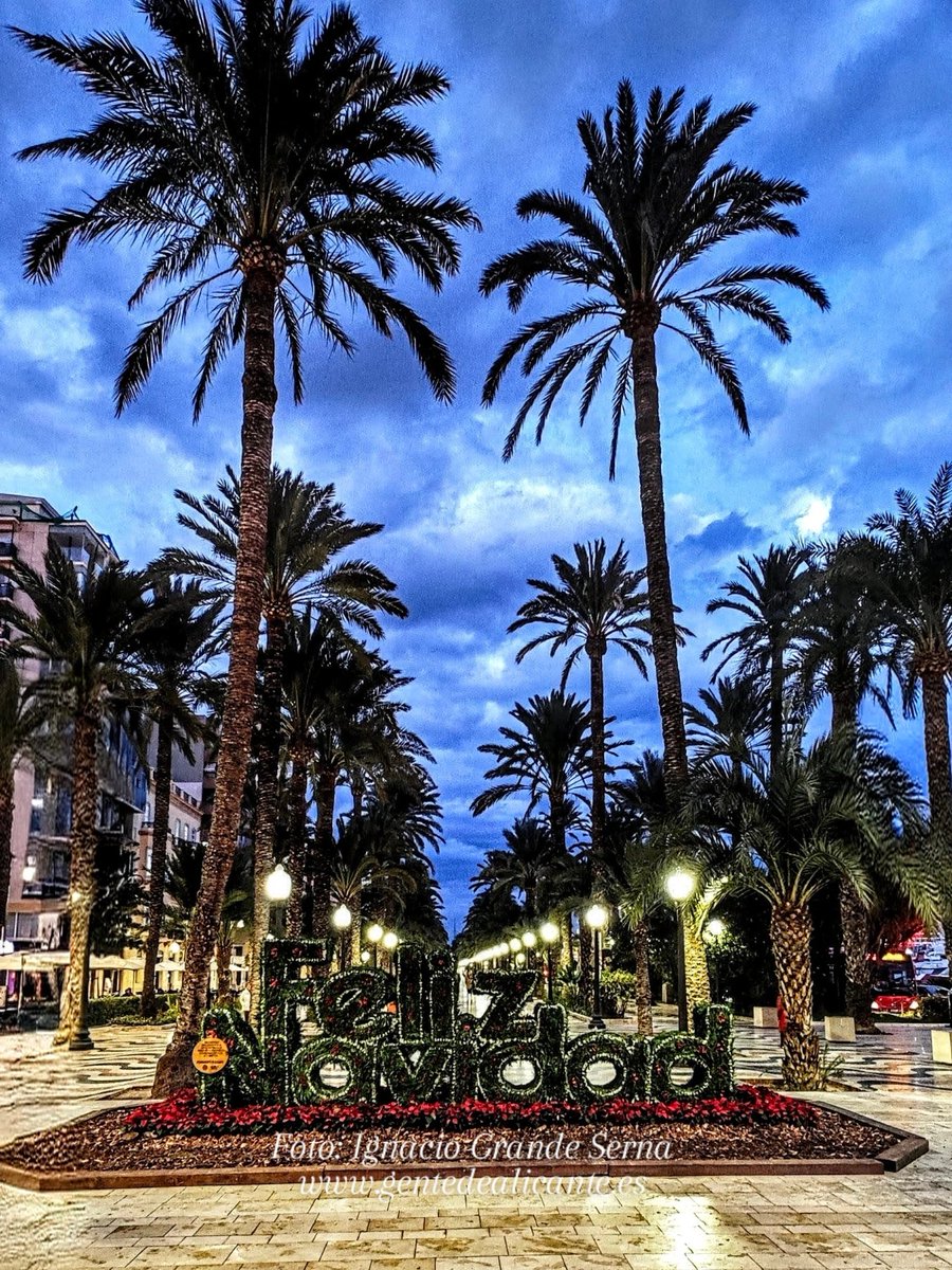Buenas noches #GentedeAlicante 😍🎄✨🌴🇪🇦🌴Explanada de España 🩵 con ésta bonita imagen de la decoración navideña, nos despedimos por hoy deseando que tengáis una Bona Nit Familia! 🥰
.
.
#Alicante #LaMillorTerretadelMón #España #CostaBlanca #lanuvees #EAlicantinas #enalicante