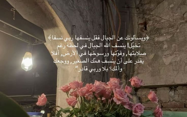 𝐒𝐚𝐥𝐚𝐟𝐢 📚☝🏻 (@csibjk10433) on Twitter photo 