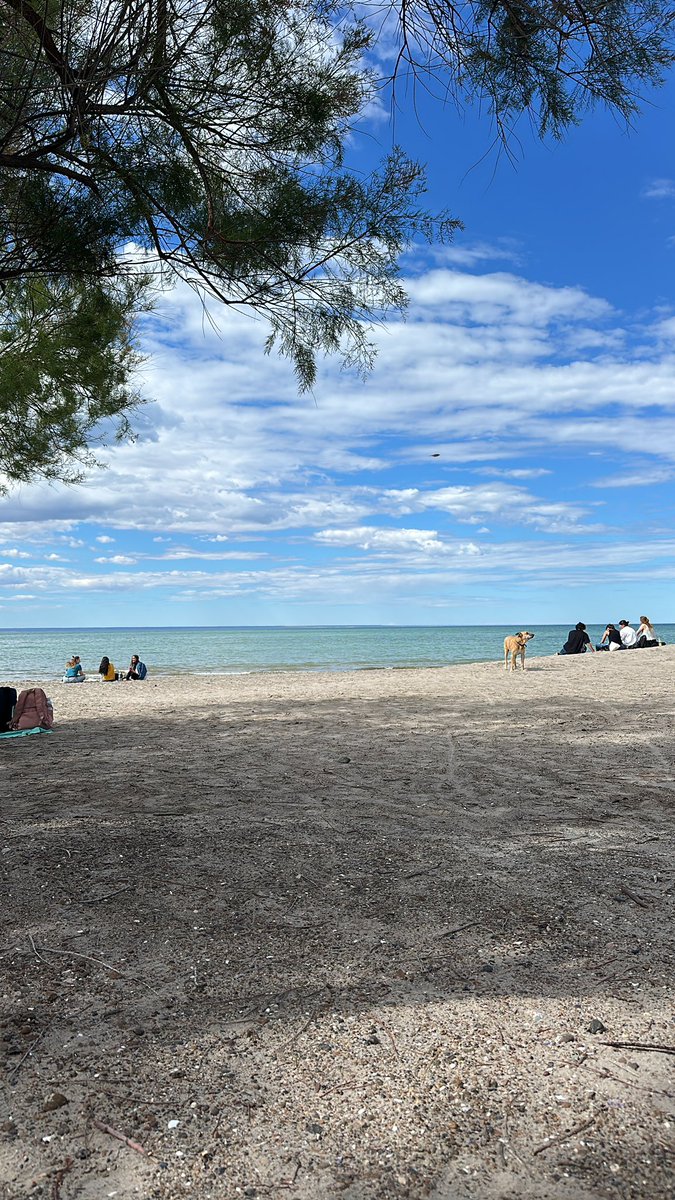 XII Jornadas Nacionales de Ciencias del Mar 🌊 🐚 🐬 🐋