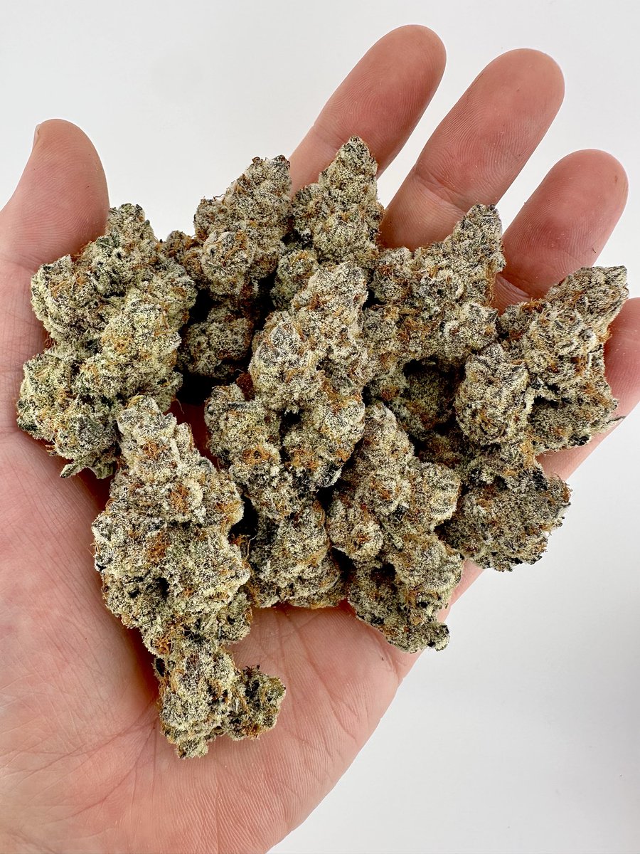 ⛽️🍩⛽️ OUT NOW on exoticgenetix.com!!! Vapor-Iced (Plasma Gas x Bakers Dozen)!!! Let’s keep the GIVEAWAYS going all throughout MJ Bizcon week baby!!! 

🚨Smash the Like Button 

🚨Follow Exoticgenetix on X

🚨Retweet this post on your feed

🚨Tag 5 friends in the comments