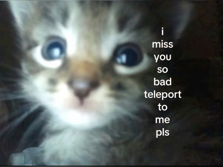 ServerExploit's tweet image. nghmfhn ng