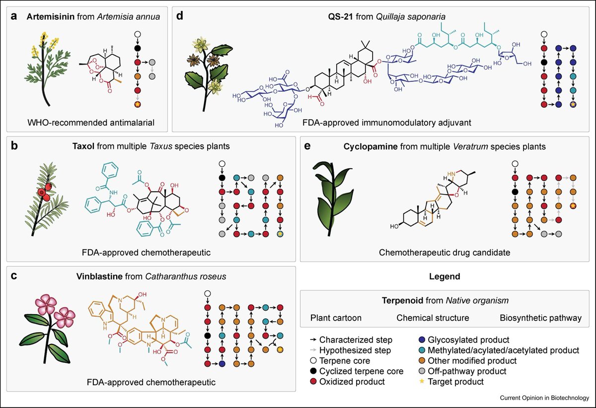 Keasling Lab 🏳️🌈🏳️⚧️ tweet media
