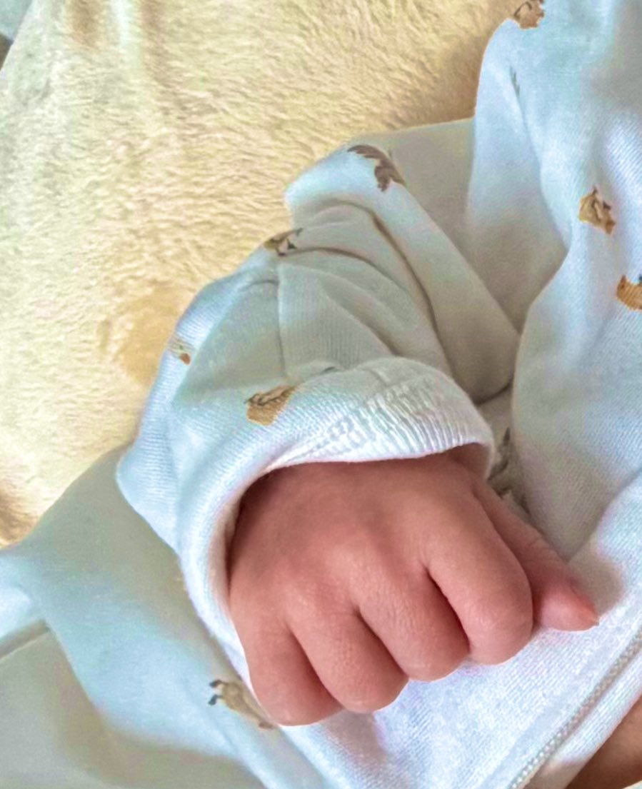 Farzaneh Rahmani tweet media