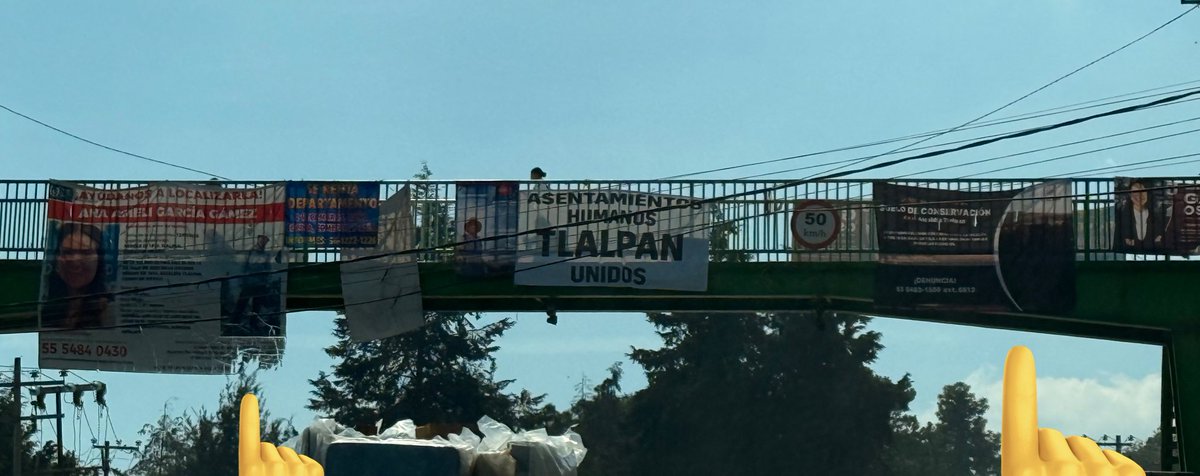 1Libelula1971's tweet photo. El gobierno de la 4T en imágenes 

@Gabyosoriohdz  en @TlalpanAl  ya sabemos que a ti, todo te vale madres, pero se necesita no tener madre y vergüenza, para colocar tus lonas con tus “logros” junto  a la de los desaparecidos en el Ajusco en la Picacho Ajusco y en la de Topilejo. 
Miserable