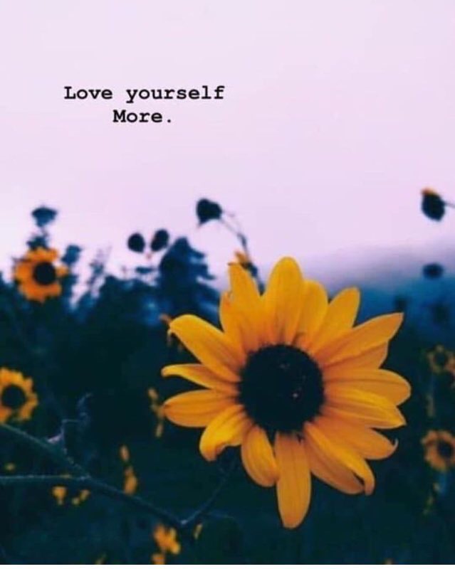 mindfulheal's tweet photo. https://t.co/Gv1yw0X2iv