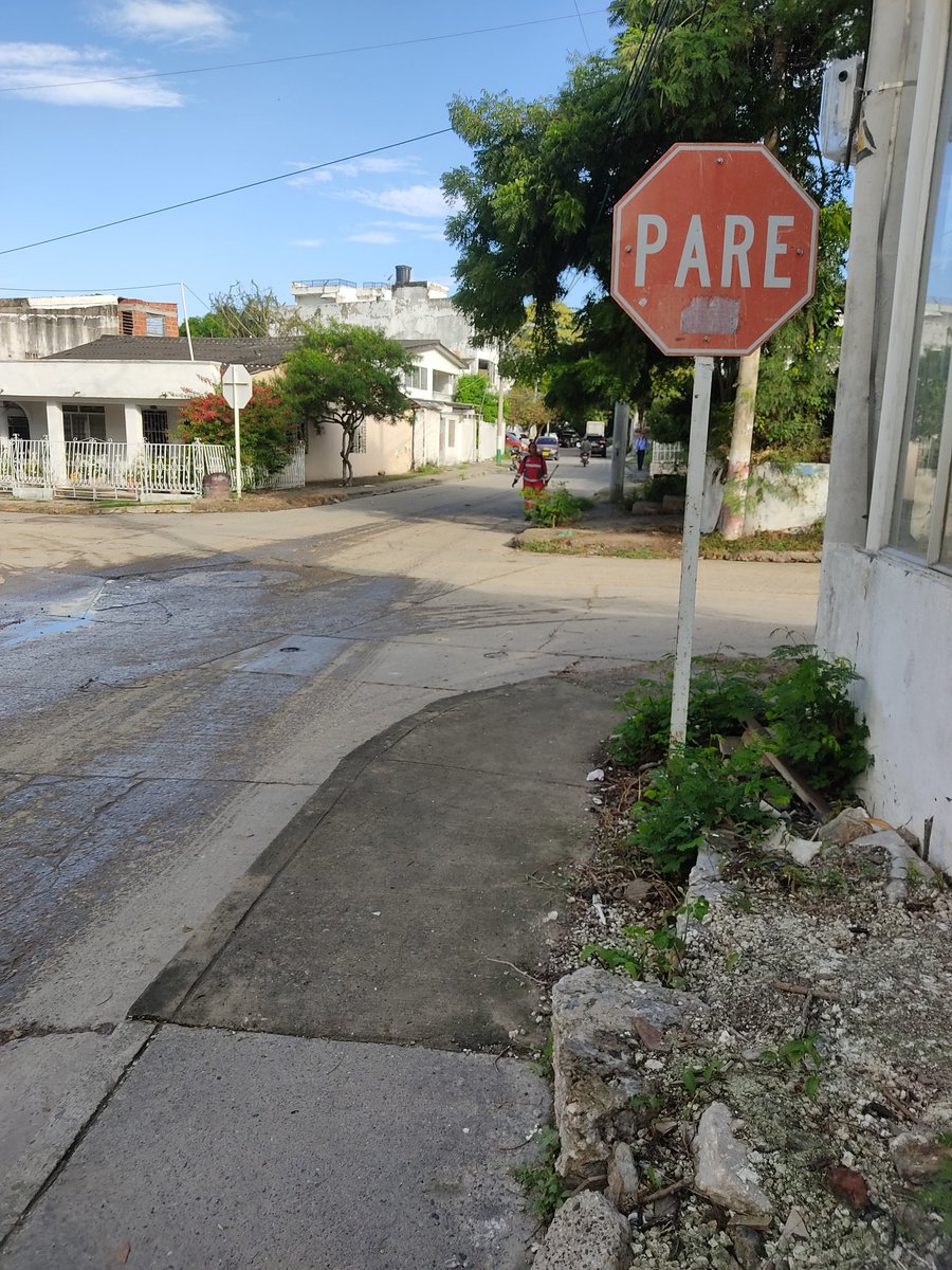 Elmayorsigilo's tweet photo. @DATT_Cgena @Veolia_Cartagen @secinfractg @MarielaAlvear @patrulleroefra @cmario851 @DenuncieCTG @jorvane @PeatonaLa @berriondo1 @BonfanteMaria @amigodelpueblo4 @CCartagenario @DelcydeAvilaM @SamyTorresFunez @ofaburgos @pereajacque @GustavoFer30084 #ProblematicaResuelta Cortaron maleza,aunque no la recogieron,se logra observar #SeñalDeTransito PARE,esquina Diagonal 21B frente Edificio Serranova #CartagenaDeIndias,me informa Veolia tiempo de trámite recolección de poda generada por ellos es de 3 a 10 días hábiles,Gracias. https://t.co/sUT5GcdutV