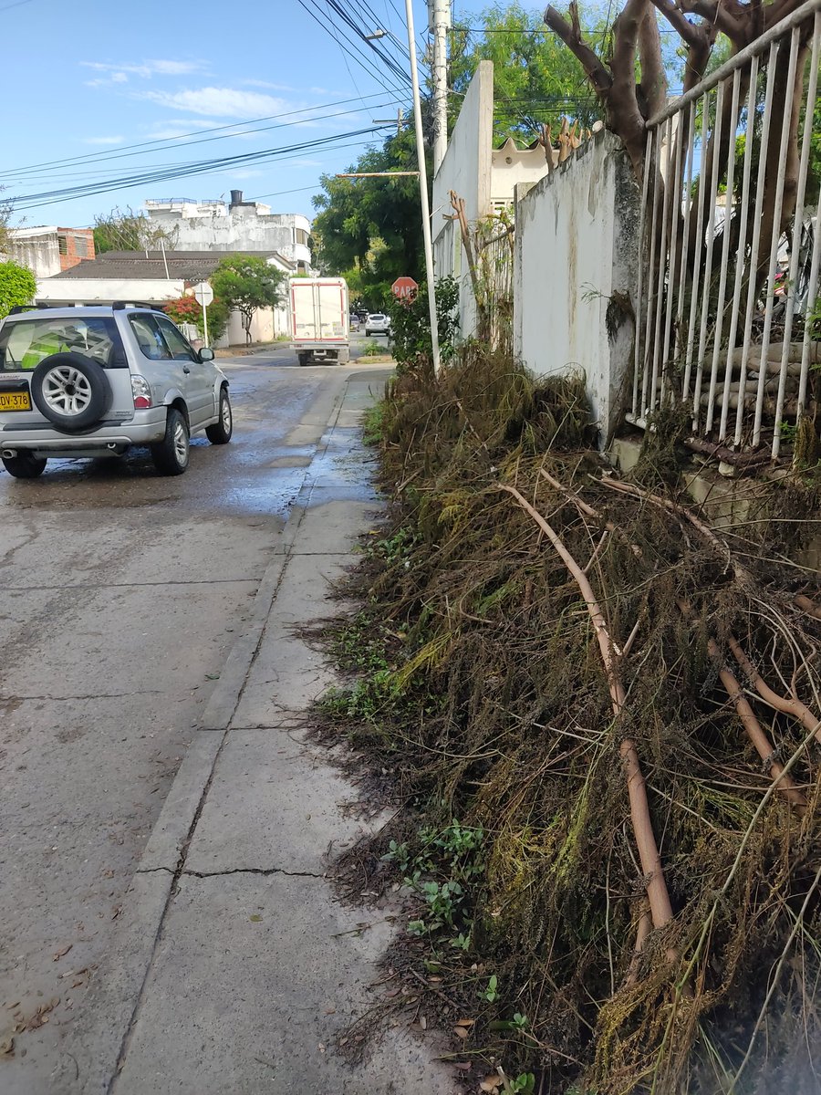 Elmayorsigilo's tweet photo. @DATT_Cgena @Veolia_Cartagen @secinfractg @MarielaAlvear @patrulleroefra @cmario851 @DenuncieCTG @jorvane @PeatonaLa @berriondo1 @BonfanteMaria @amigodelpueblo4 @CCartagenario @DelcydeAvilaM @SamyTorresFunez @ofaburgos @pereajacque @GustavoFer30084 #ProblematicaResuelta Cortaron maleza,aunque no la recogieron,se logra observar #SeñalDeTransito PARE,esquina Diagonal 21B frente Edificio Serranova #CartagenaDeIndias,me informa Veolia tiempo de trámite recolección de poda generada por ellos es de 3 a 10 días hábiles,Gracias. https://t.co/sUT5GcdutV