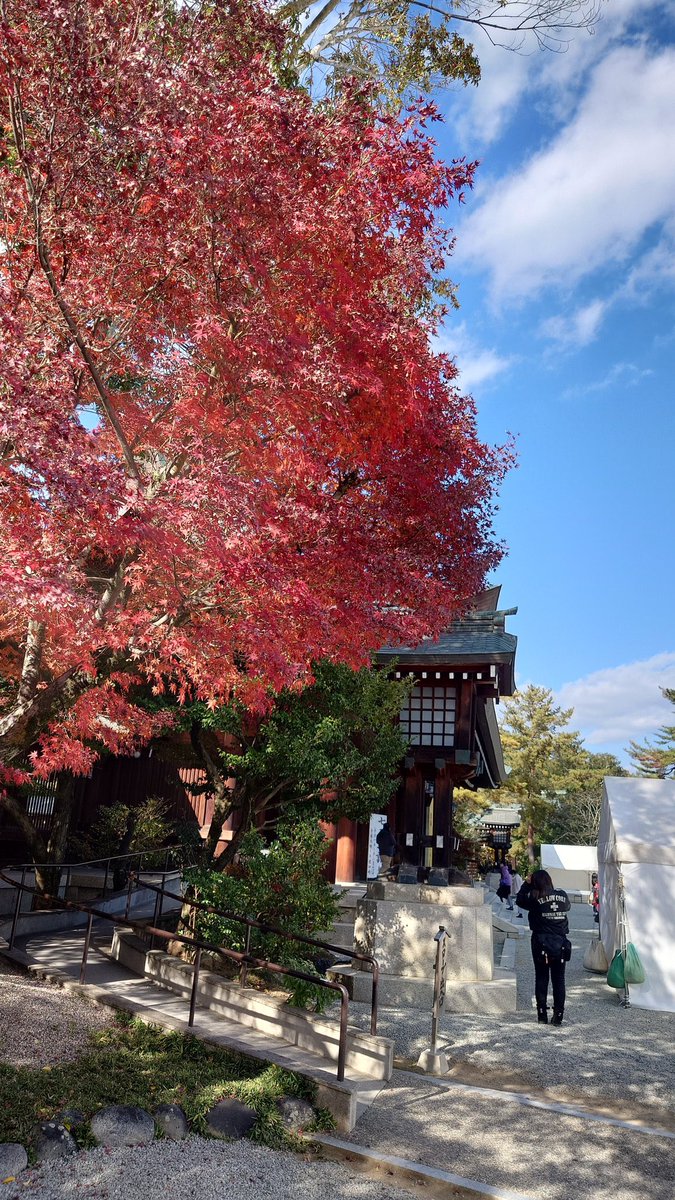 みーやん@Belle♡Ninja1000♡ (@27C7) / Posts / X