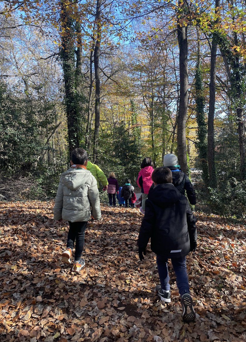 Escola PAIDOS tweet media