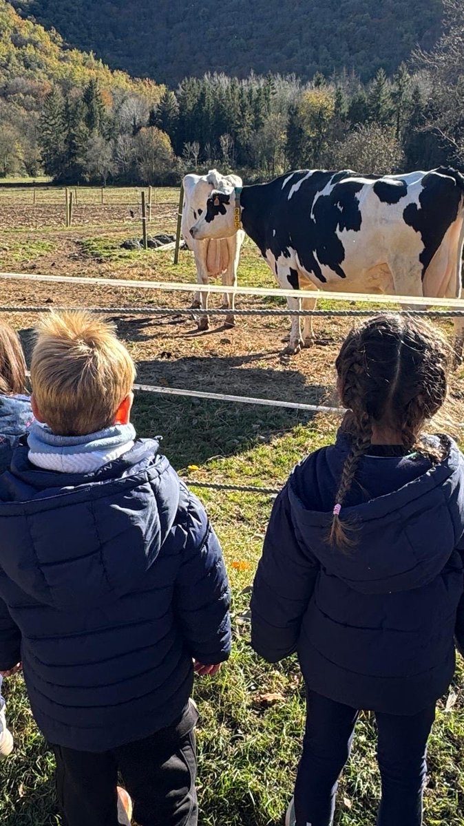 Escola PAIDOS tweet media