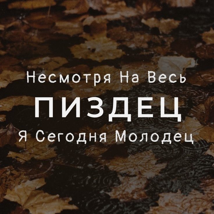 Директор Земли (@cha_pay) on Twitter photo 