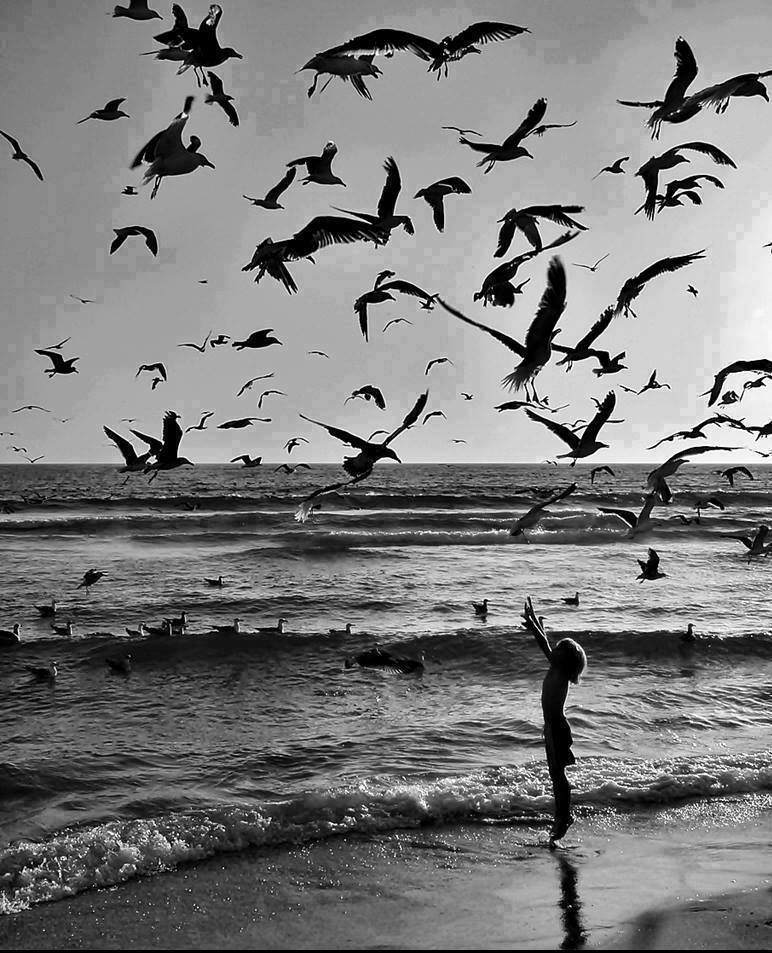 culturainquieta's tweet photo. «Al final, ¿Qué importa más: vivir o saber que se está viviendo?»

 – Clarice Lispector | Cerca del corazón salvaje

📸: Filipe Morais https://t.co/9iVRf558zN